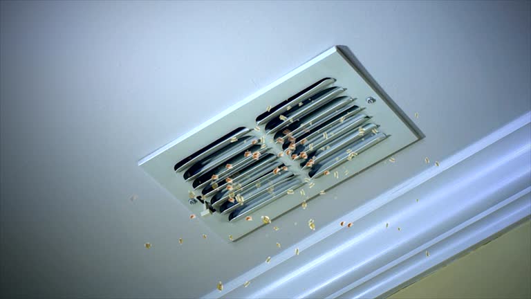 Best Air Duct Cleaning Near Me  in Batesburg Leesville, SC