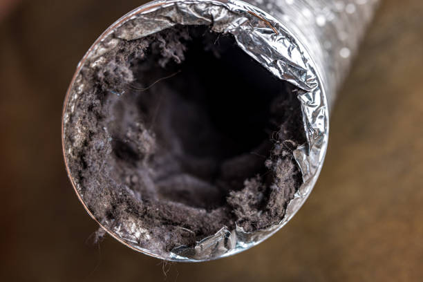 Best Best Air Duct Cleaning Company  in Batesburg Leesville, SC